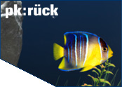 PKRück Aquarium-Bildschirmschoner