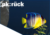 PKR&uuml;ck Aquarium-Bildschirmschoner